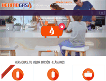 Tablet Screenshot of hermogas.com